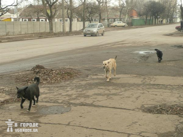 Рейтинг самых жутких "райончиков" Донецка (фото)