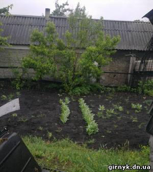 Житель города Белозерское выращивал для себя целую плантацию мака (фото)