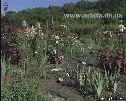 Красноармейское садовое чудо (фото + видео)