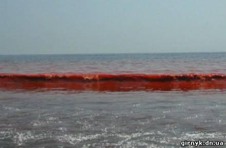 Азовское море стало красно-бурого цвета (фото)