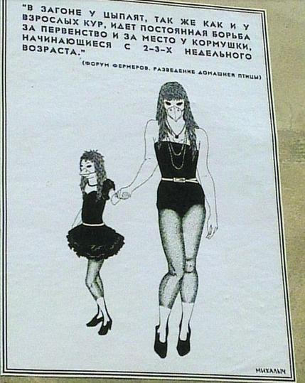 В Донецке расклеили листовки, в которых парней сравнивают с быками, а девушек с курицами (фото)