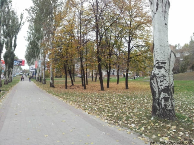 В Донецке Янукович с тополя смотрит на прохожих (фото)
