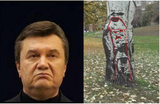 В Донецке Янукович с тополя смотрит на прохожих (фото)
