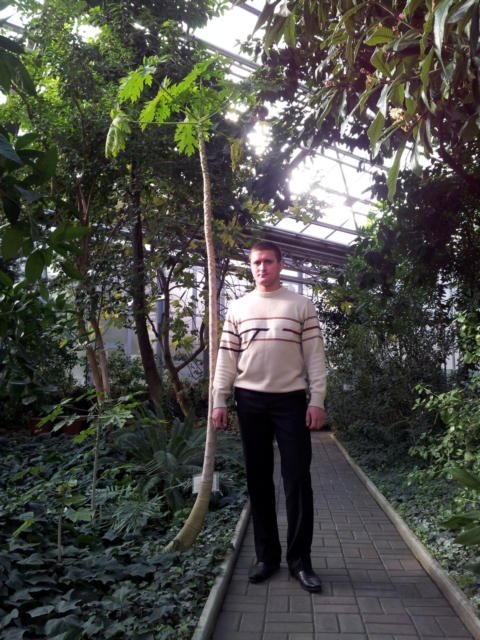 В донецком ботаническом саду доспевает экзотическая дыня (фото)