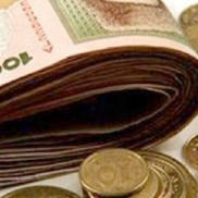 Бюджетники Димитрова 2013 год проживут в условиях жесткой экономии