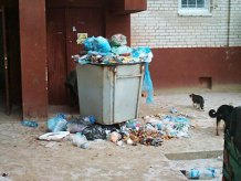 Антимонопольный комитет нашел нарушения в вывозе мусора в Селидово, Украинске, Горняке, Кураховке и других населенных пунктах района