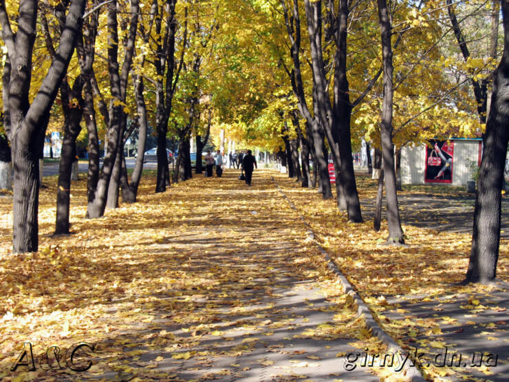 Осень на улицах Новогродовки