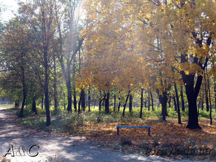 Городской парк Новогродовки