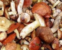 В Красноармейске семья с ребенком отравились грибами, которые купили на рынке