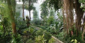 Донецкий ботанический сад за 11 миллионов гривен станет удобным для посетителей