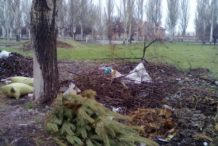 Красноармейчане выбрасывают новогодние елки в апреле (фото)