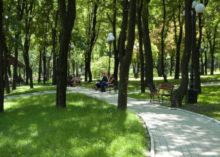 Каждый желающий может посадить в парке Щербакова «именное» дерево