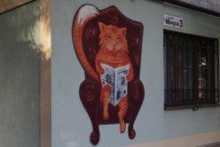 В Донецке появился кот, который «живет» на стене (фото)