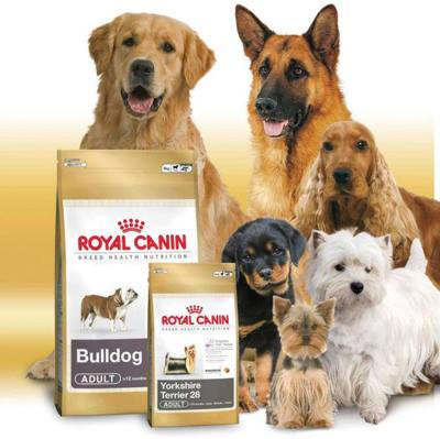 Royal Canin диеты для собак