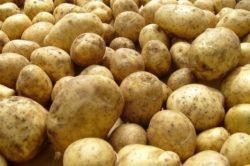 Что происходит с ценами на картофель в Донецкой области (видео)