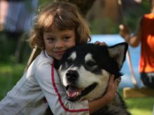 Эскимосские собаки лечат донецких детей