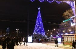 Стало известно, как будет выглядеть главная новогодняя елка Донецка
