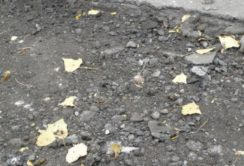 В Красноармейске ямы на дорогах вместо асфальта засыпают мусором (видео)