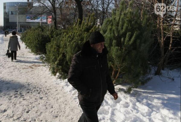 В Донецке продают элитные новогодние елки по "космическим" ценам (фото)