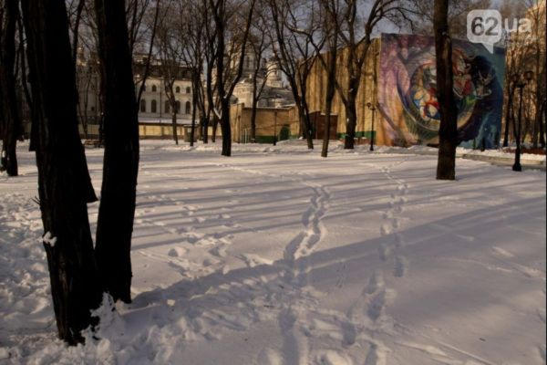 В Донецке продают элитные новогодние елки по "космическим" ценам (фото)