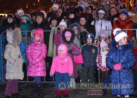 В Донецке торжественно открыли главную новогоднюю елку (фото, видео)