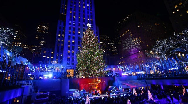 Лучшие новогодние елки мира 2014 года (фото)