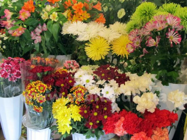 В Красноармейске подскочили цены на цветы (фото)