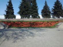 В одном из парков Донецка появилась цветочная клумба-бабочка (фото)