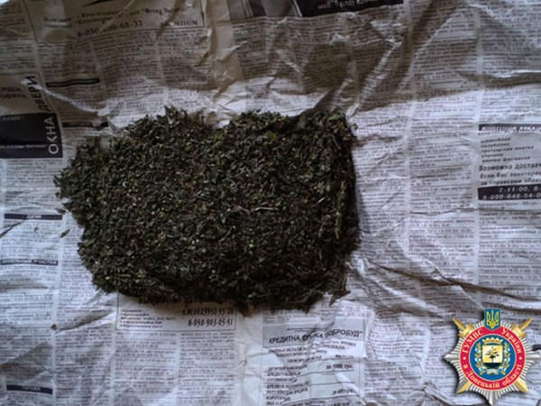 Житель Димитрова хранил наркотики под козырьком Дома культуры