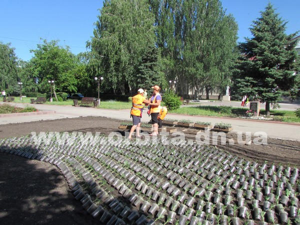 В Красноармейске начались работы по созданию цветочного флага Украины (фото)