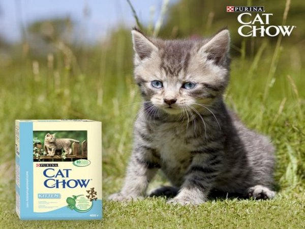 кошачий корм Cat Chow