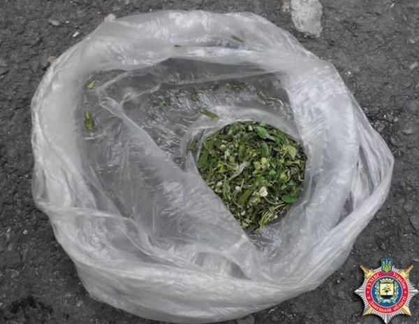 В Новогродовке уголовник собирал «урожай» с наркоплантации