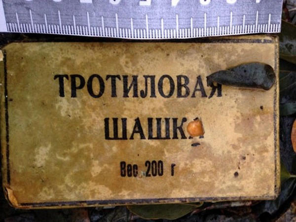 В городском парке Красноармейска найдена «тротиловая шашка»