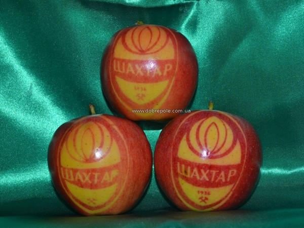 В Доброполье выращивают уникальные яблоки с логотипами известных брендов