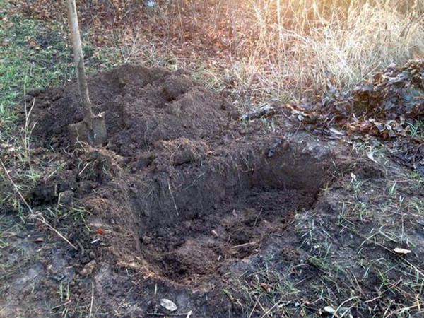 Житель Горняка закопал за автобусной остановкой гранатометы и боеприпасы