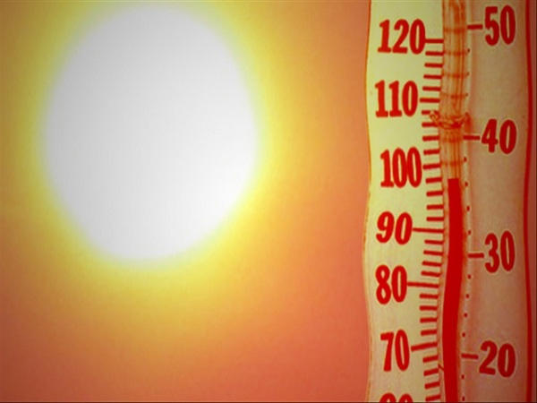 Как выжить в 35-градусную жару