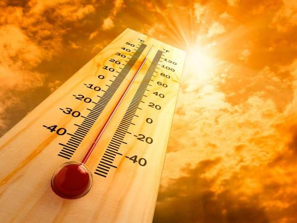 На выходных в Донецкой области ожидается аномальная жара