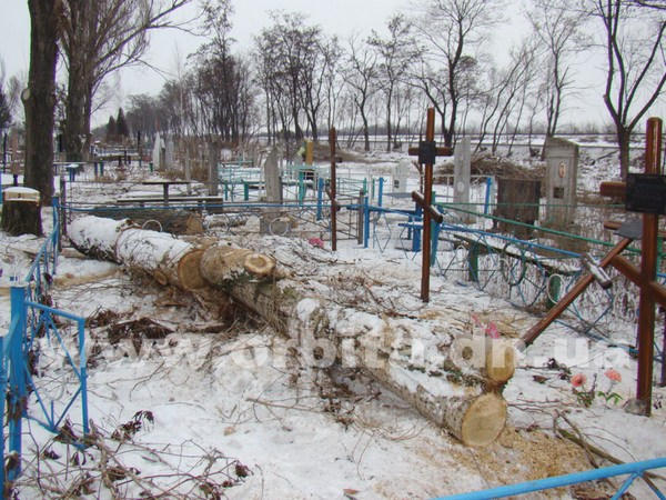 На кладбище Покровска деревья пилят — от крестов и оградок щепки летят