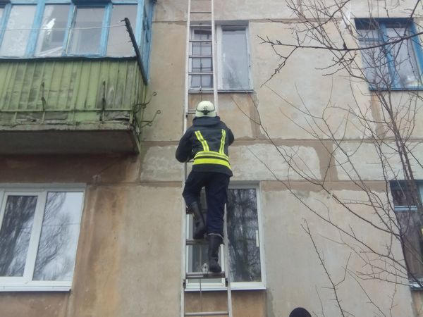В Мирнограде спасатели вызволили из заточения пенсионерку