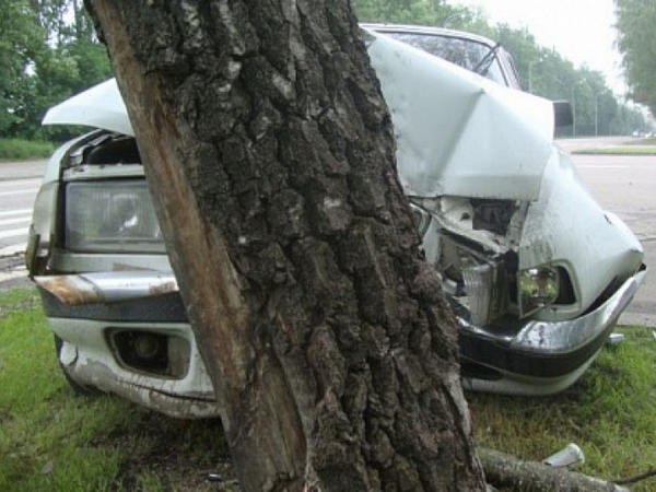 В Селидово водитель «ВАЗа» не разминулся с деревом