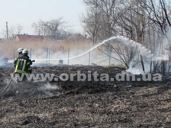 Горящий камыш едва не стал причиной масштабного пожара в Покровске