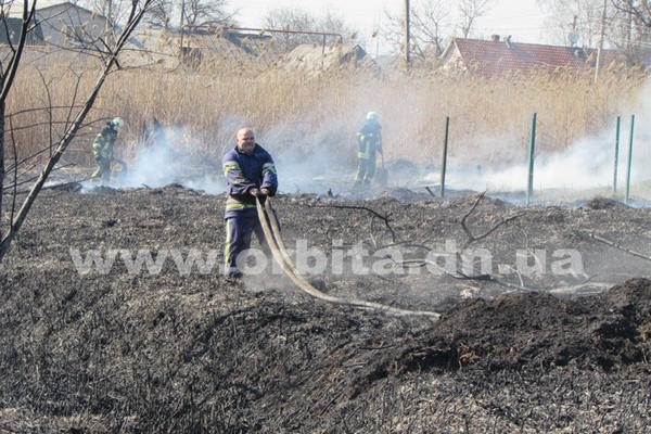 Горящий камыш едва не стал причиной масштабного пожара в Покровске