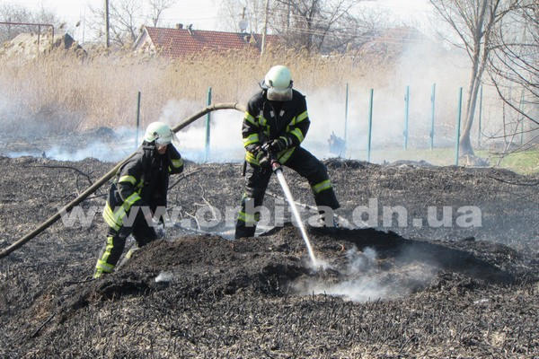 Горящий камыш едва не стал причиной масштабного пожара в Покровске