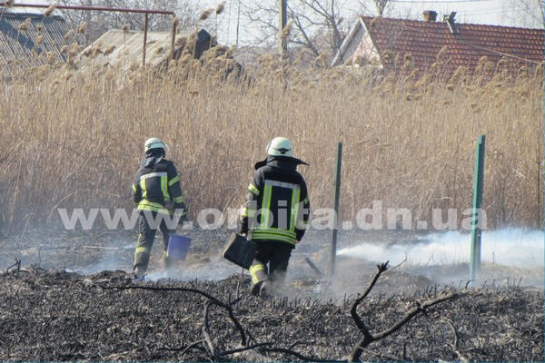 Горящий камыш едва не стал причиной масштабного пожара в Покровске