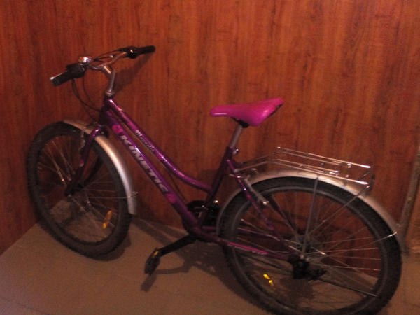 В Селидово приезжий уголовник украл у ребенка велосипед