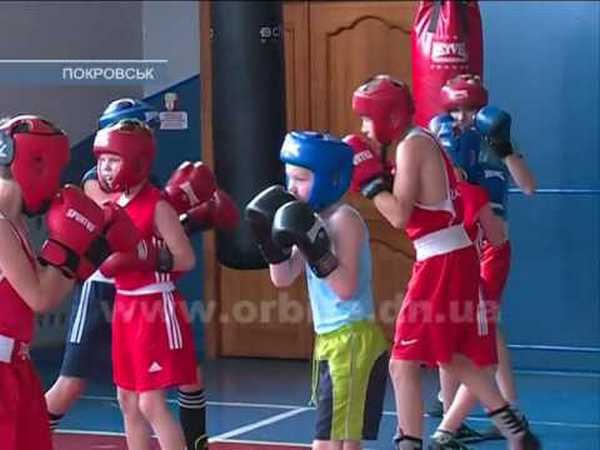 Юные боксеры из Покровска привезли медали с областного турнира