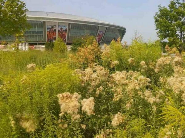 Стадион «Донбасс Арена» в Донецке зарастает бурьяном