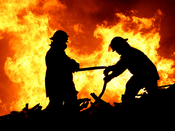 В Мирнограде спасатели ликвидировали пожар на территории школы