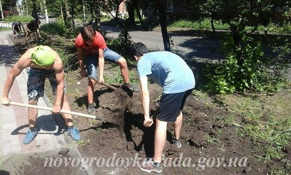 Подростки Новогродовки помогли благоустроить город