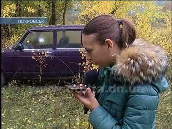 В Покровске в лесополосе нашли автомобиль без номерных знаков